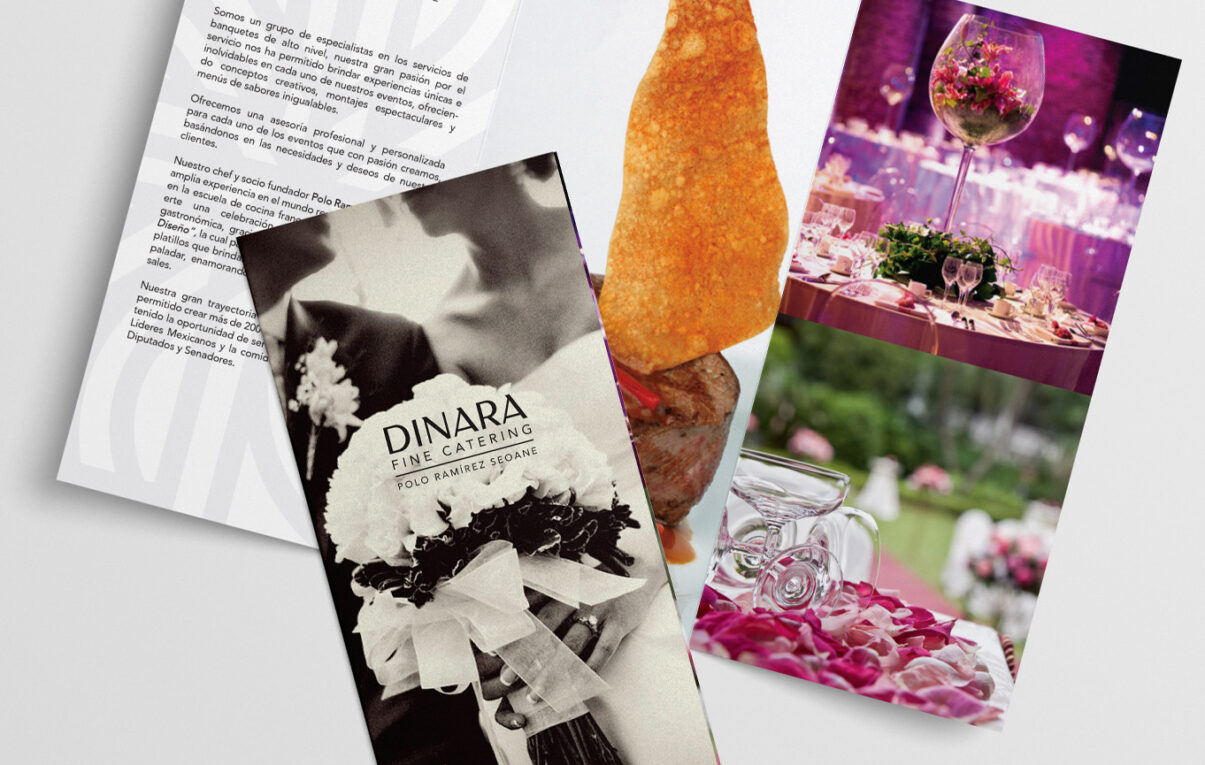 DINARA_BROCHURE DINARA_BROCHURE